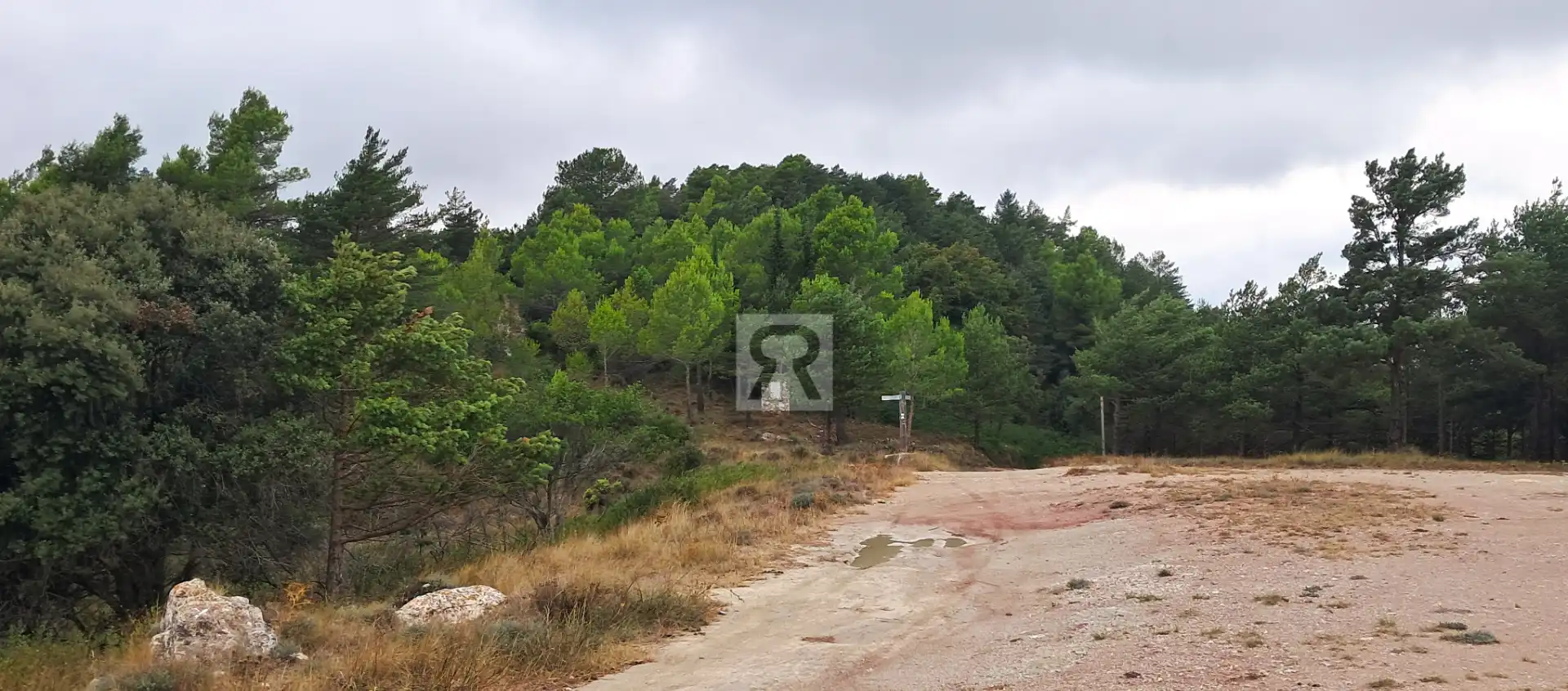 Terrain rustique à vendre à Coroneta 30, imagen 7