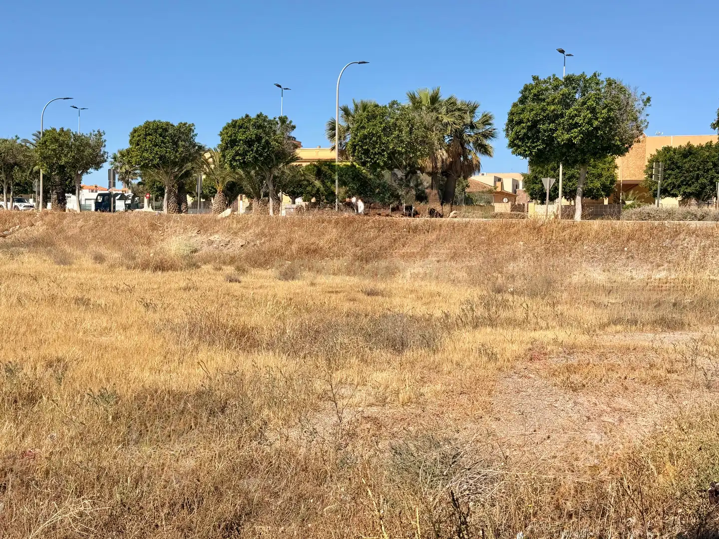 Terrenos y solares en venta en Av. del Oasis, 217, 04700 El Ejido, Almería, Spain, imagen 11
