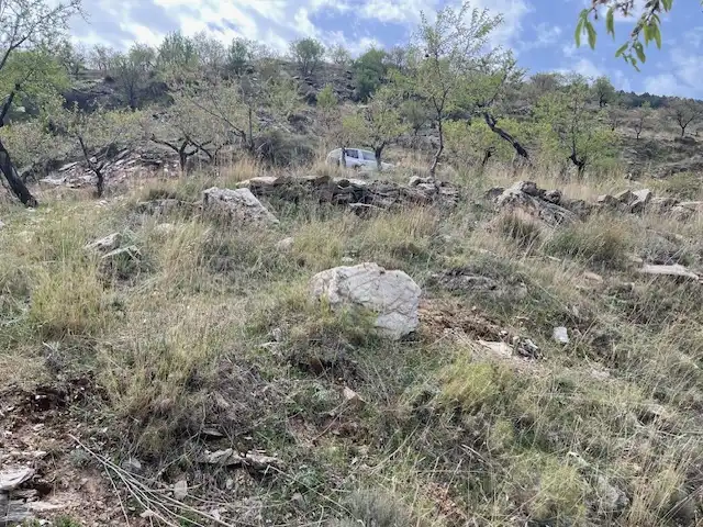 Rural land for sale in Alcudia de Monteagud, imagen 4