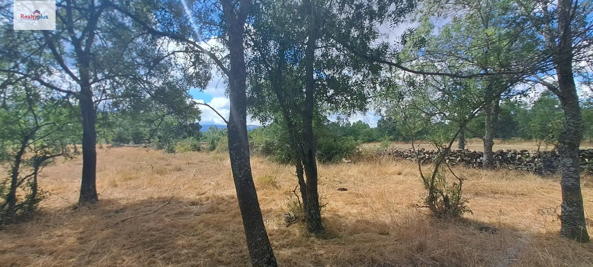 Terreni e lotti in vendita a Sotosalbos, imagen 21