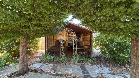Foto 4 de Finca rústica en venda a Argamasilla de Calatrava, Ciudad Real