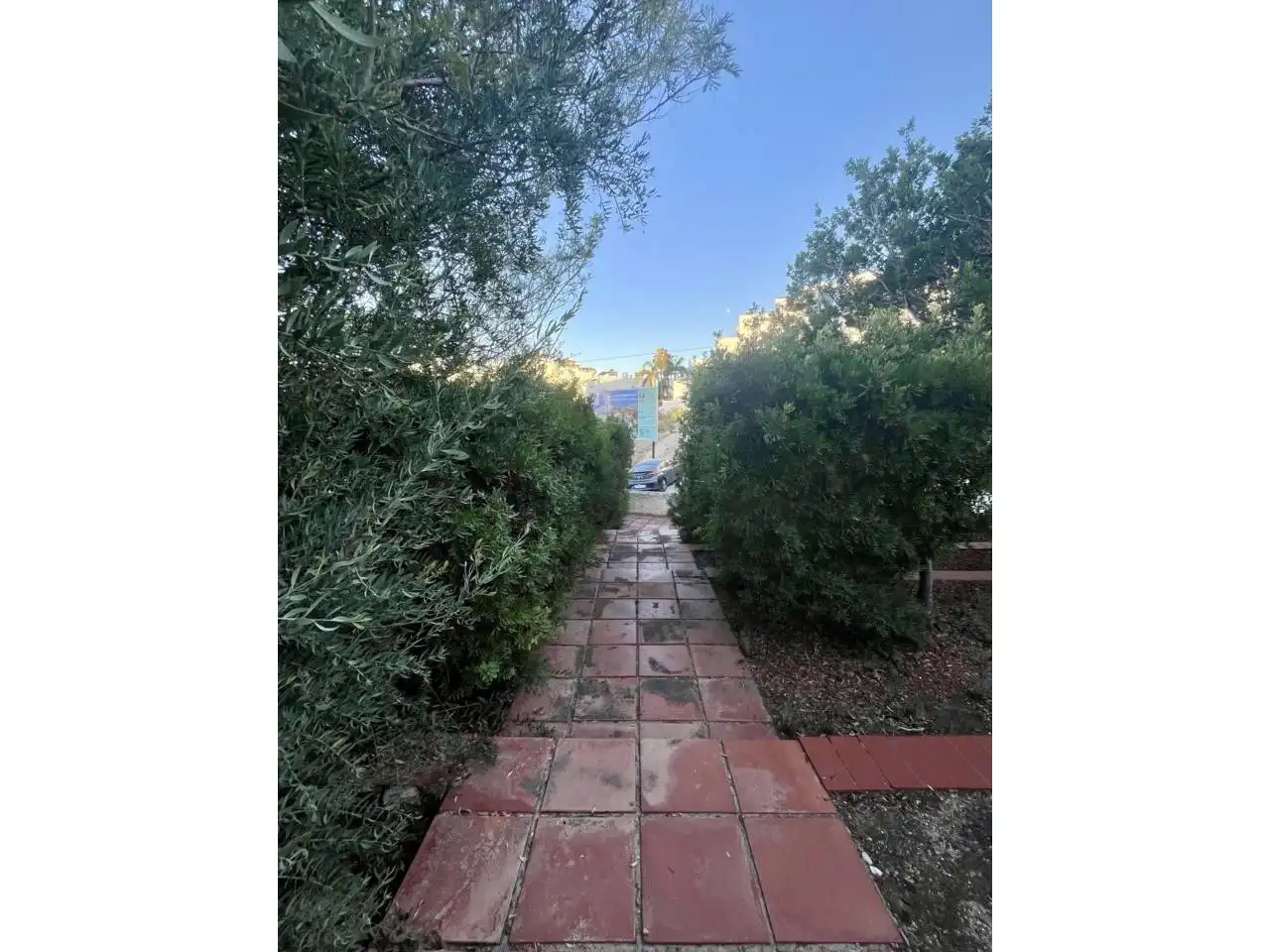 Jardí de Casa o xalet de lloguer en El Campello amb Aire condicionat, Terrassa i Moblat