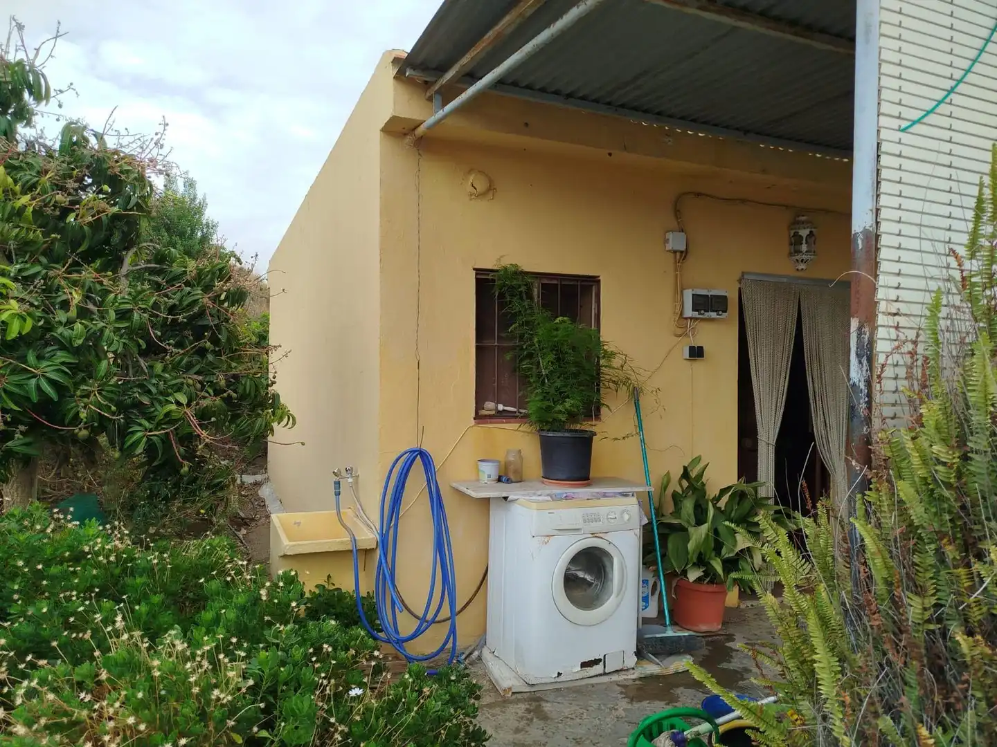 Terrain rustique à vendre à Vélez-Málaga ciudad, imagen 20