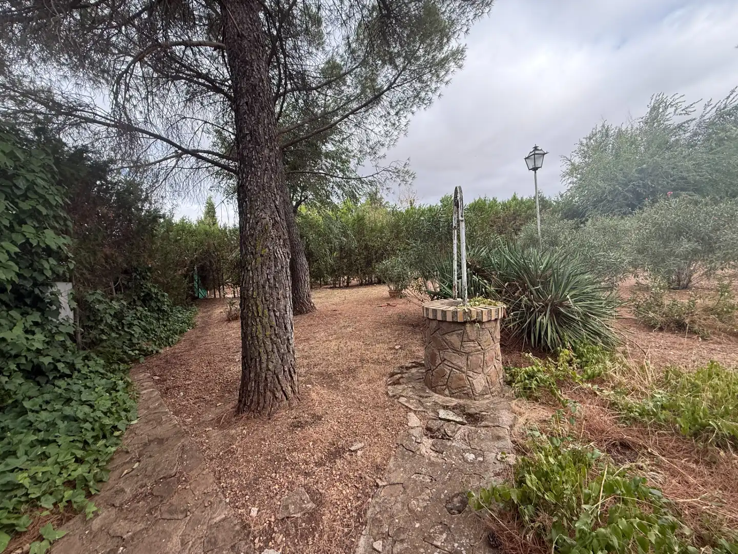 Casa o chalet en venta en Poblete con Aire acondicionado, Jardín privado y Piscina