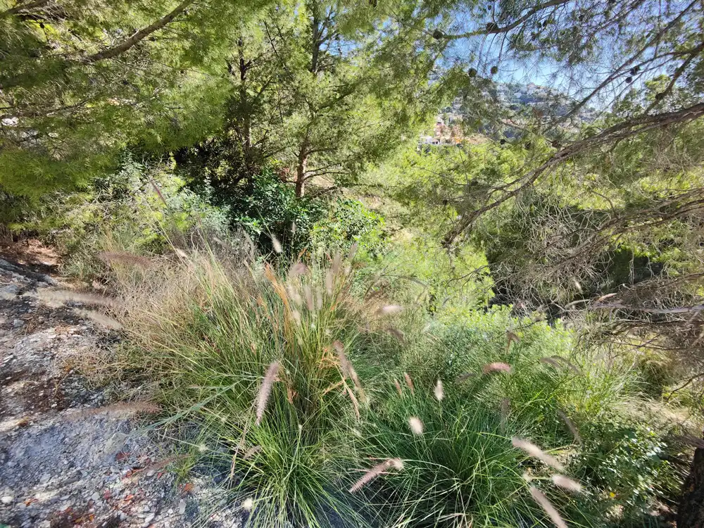 Residential land for sale in Calle Suiza, imagen 18