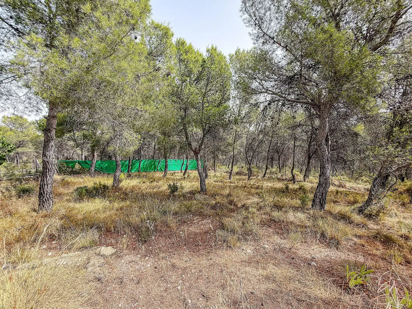 Maison rustique à vendre à Castalla, imagen 65