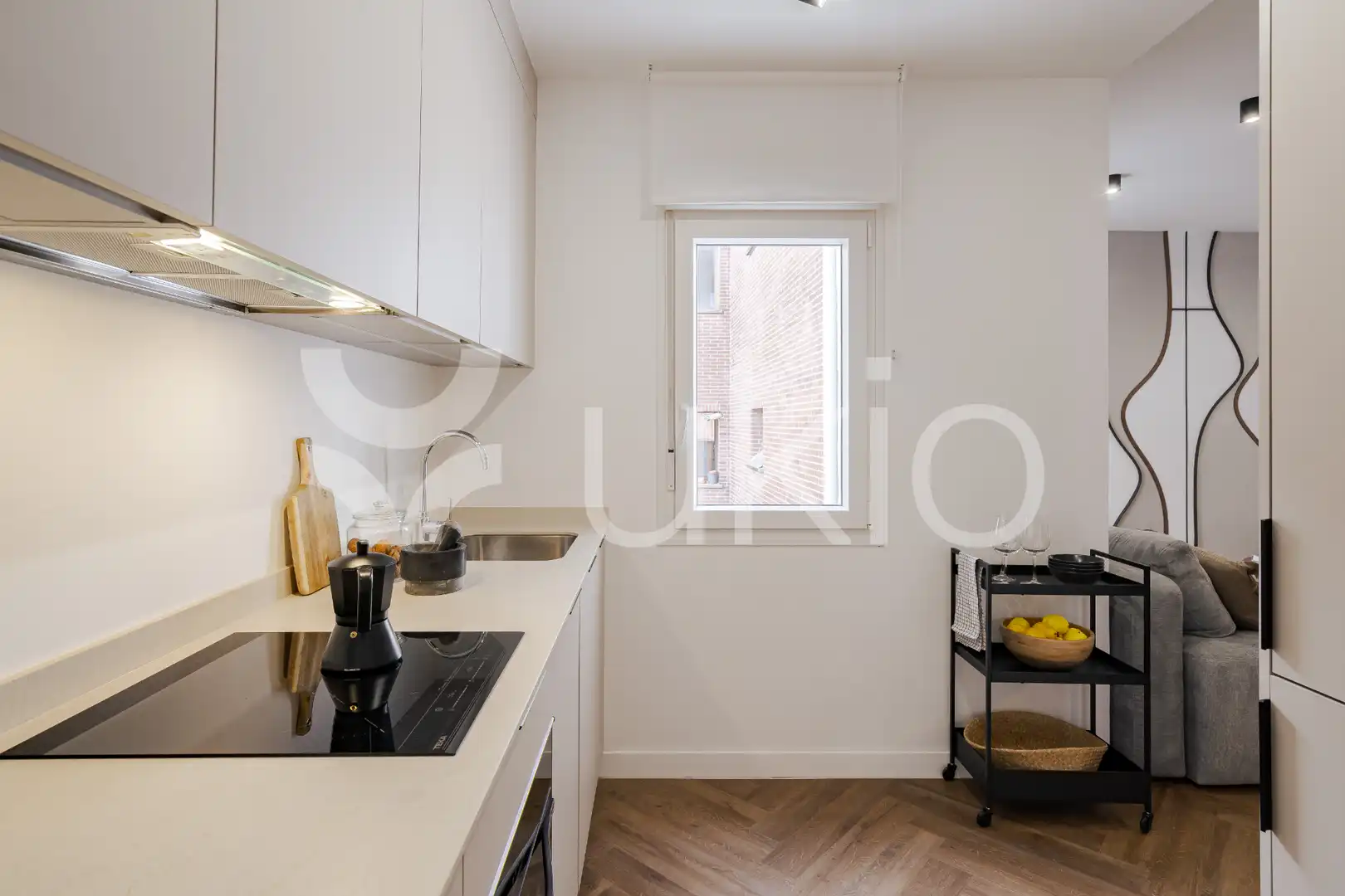 Kitchen of Apartments for rent in Madrid  with Air Conditioner, Heating and Furnished