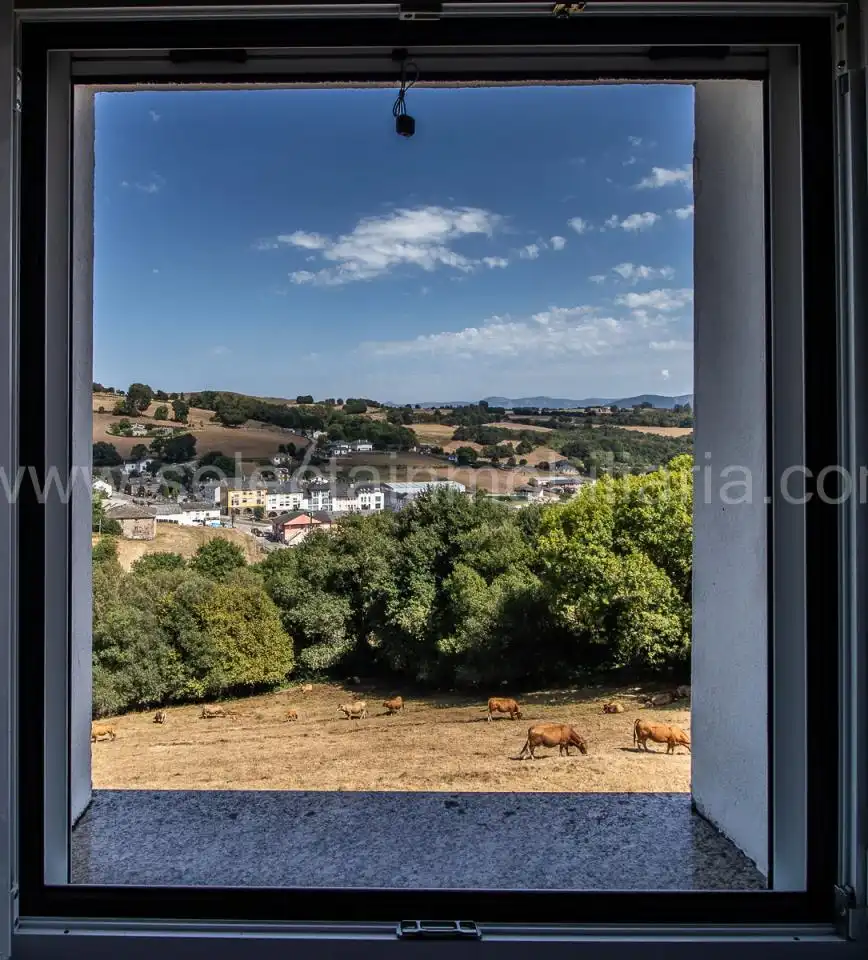 Vista exterior de Casa o xalet en venda en San Martín de Oscos amb Calefacció, Jardí privat i Terrassa