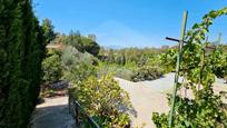 Jardí de Casa o xalet en venda en Cártama amb Piscina