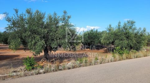 FINCA RUSTICA EN VENTA EN TERMINO MUNICIPAL DE ROSSELL, imatge 2
