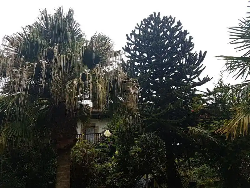 House with terrace for sale in Bricia, imagen 11