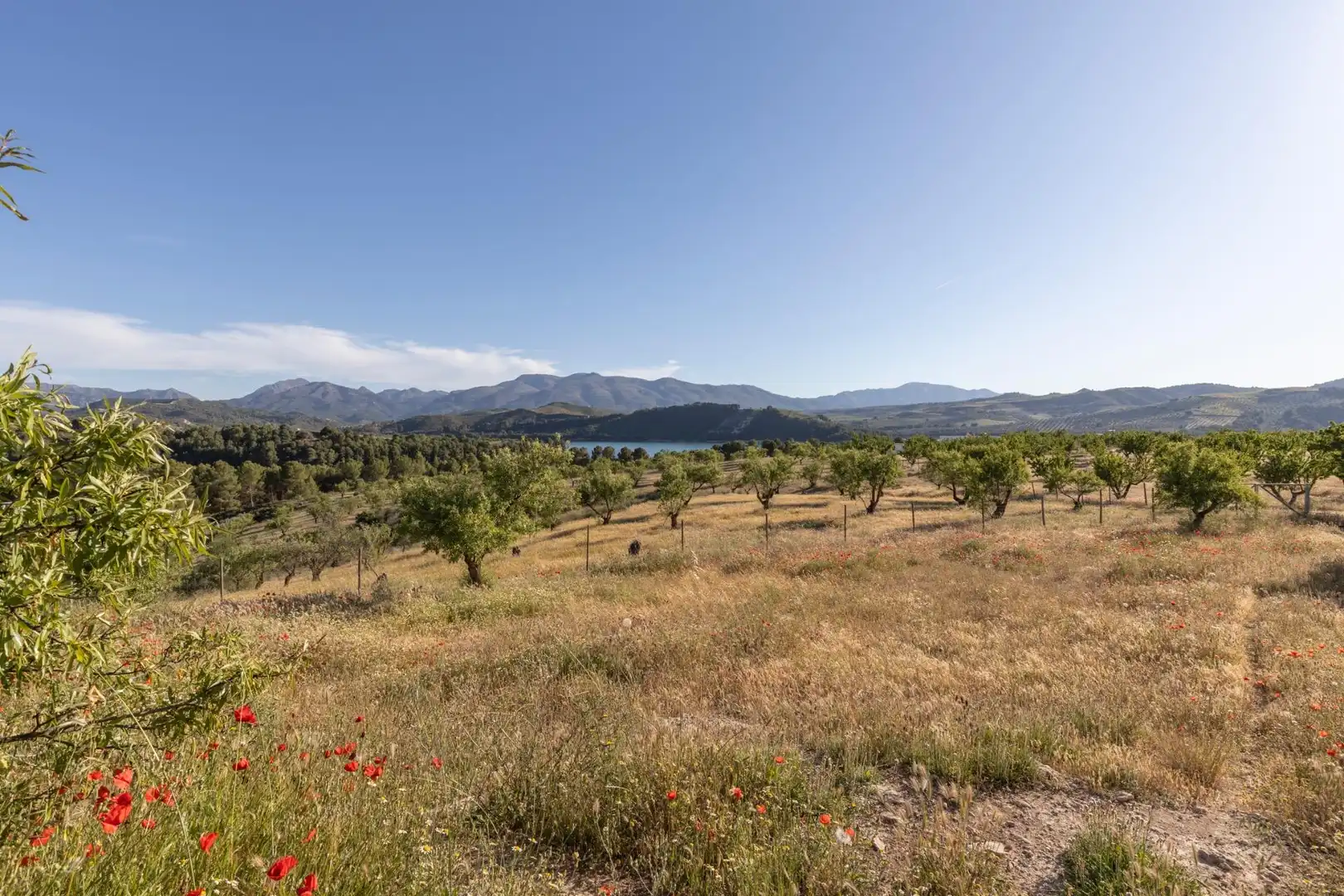 Casa rústica con terraza en venta en Calle GR-3307, Arenas del Rey, Granada GR-3307, imagen 44