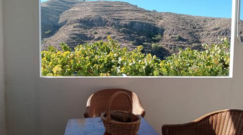 Foto 5 de Casa o chalet en venta en Saucillo - Fagajesto - Juncalillo, Las Palmas