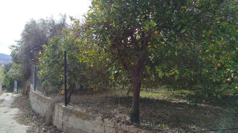 Foto 2 von Grundstücke zum Verkauf in Calle Baja, 14, Lecrín, Granada