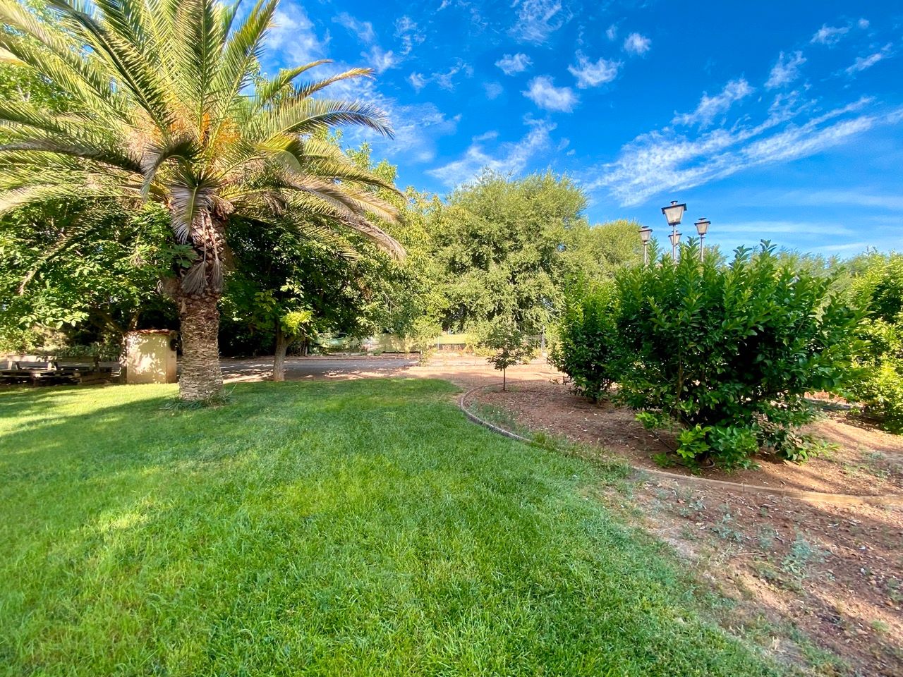 Jardín de Casa o chalet en venta en Ciudad Real Capital con Aire acondicionado, Calefacción y Jardín privado