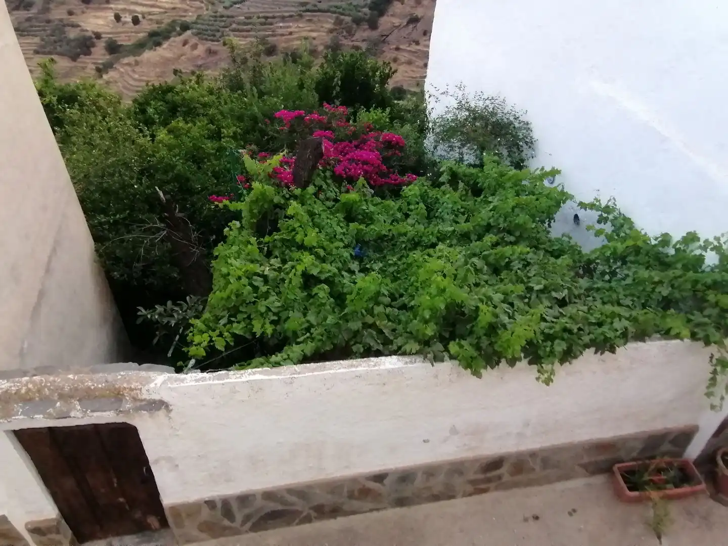 Jardí de Casa o xalet en venda en Ohanes amb Terrassa i Balcó