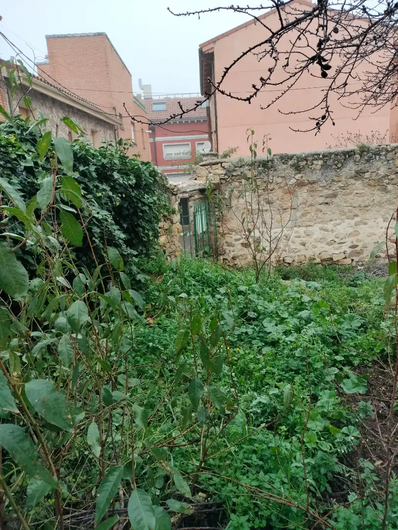 House with garden for sale in El Molar (Madrid), imagen 3