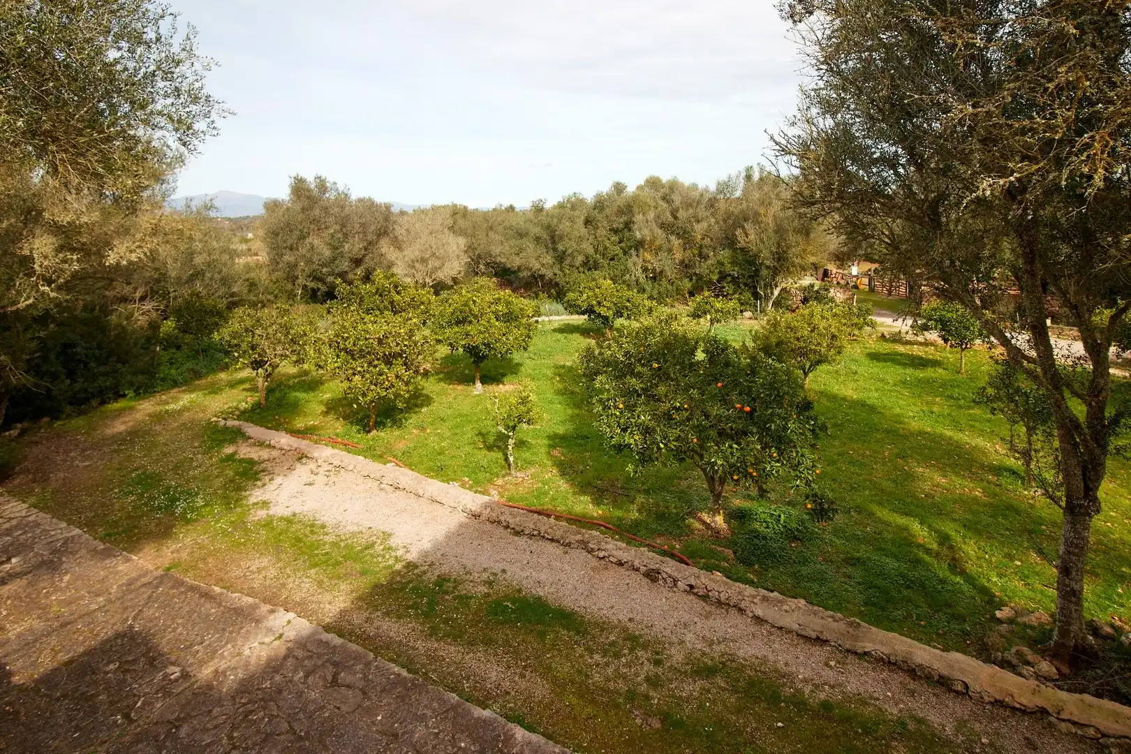Casa rustica in vendita a Algaida, imagen 46