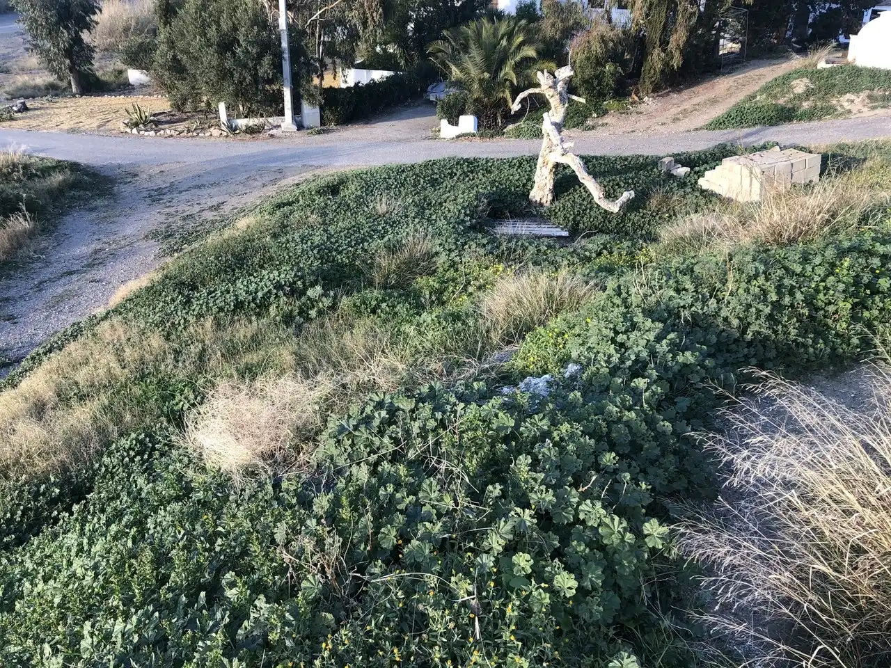 Casa rustica in vendita a Huércal-Overa, imagen 19