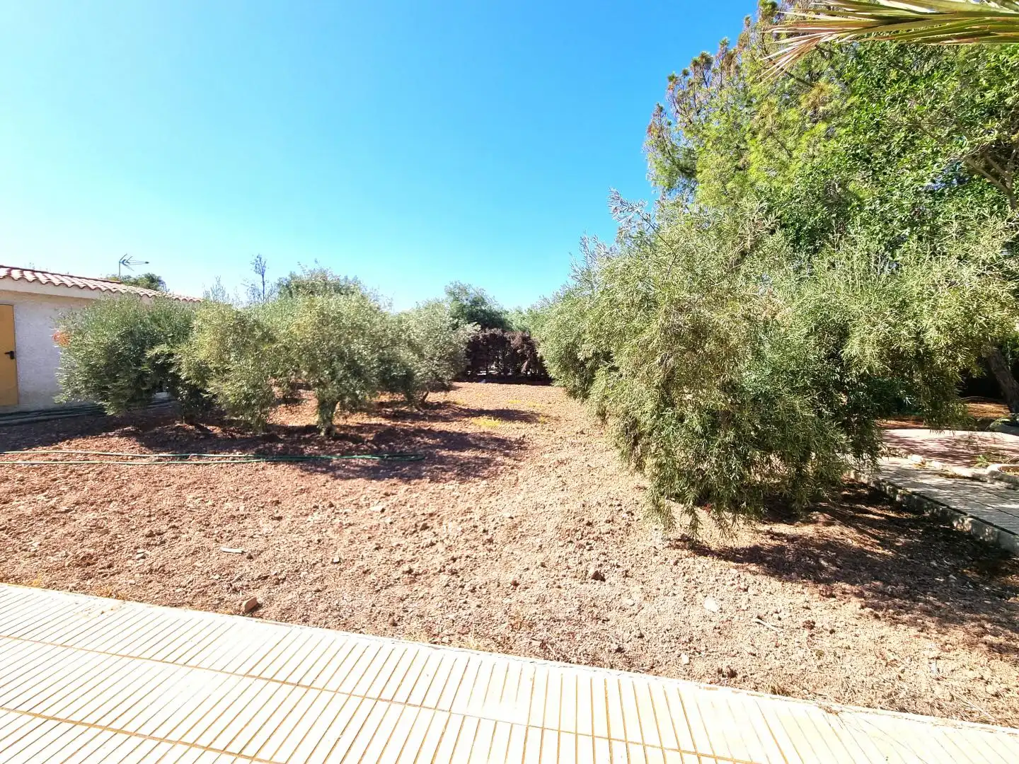 Houses for sale in Partida Boqueres, Villamontes - Boqueres