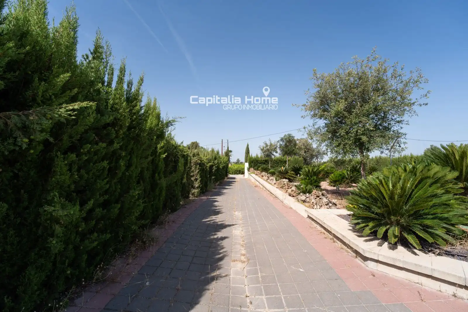 Vista exterior de Casa o chalet en venta en Orihuela