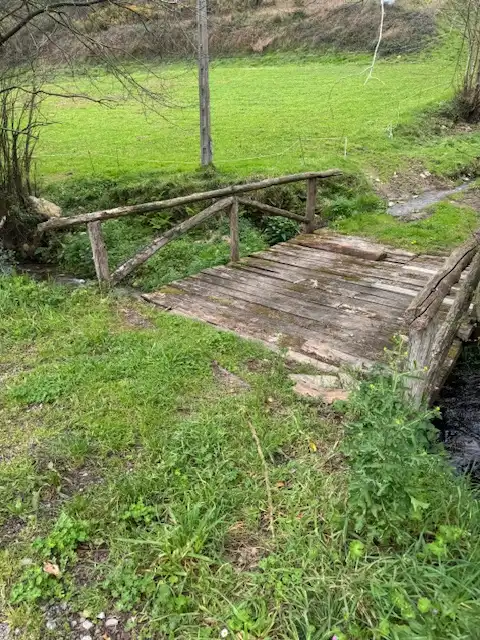 Jardín de Finca rústica en venta en Castropol