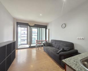 Living room of Loft for sale in A Coruña Capital   with Terrace and Swimming Pool