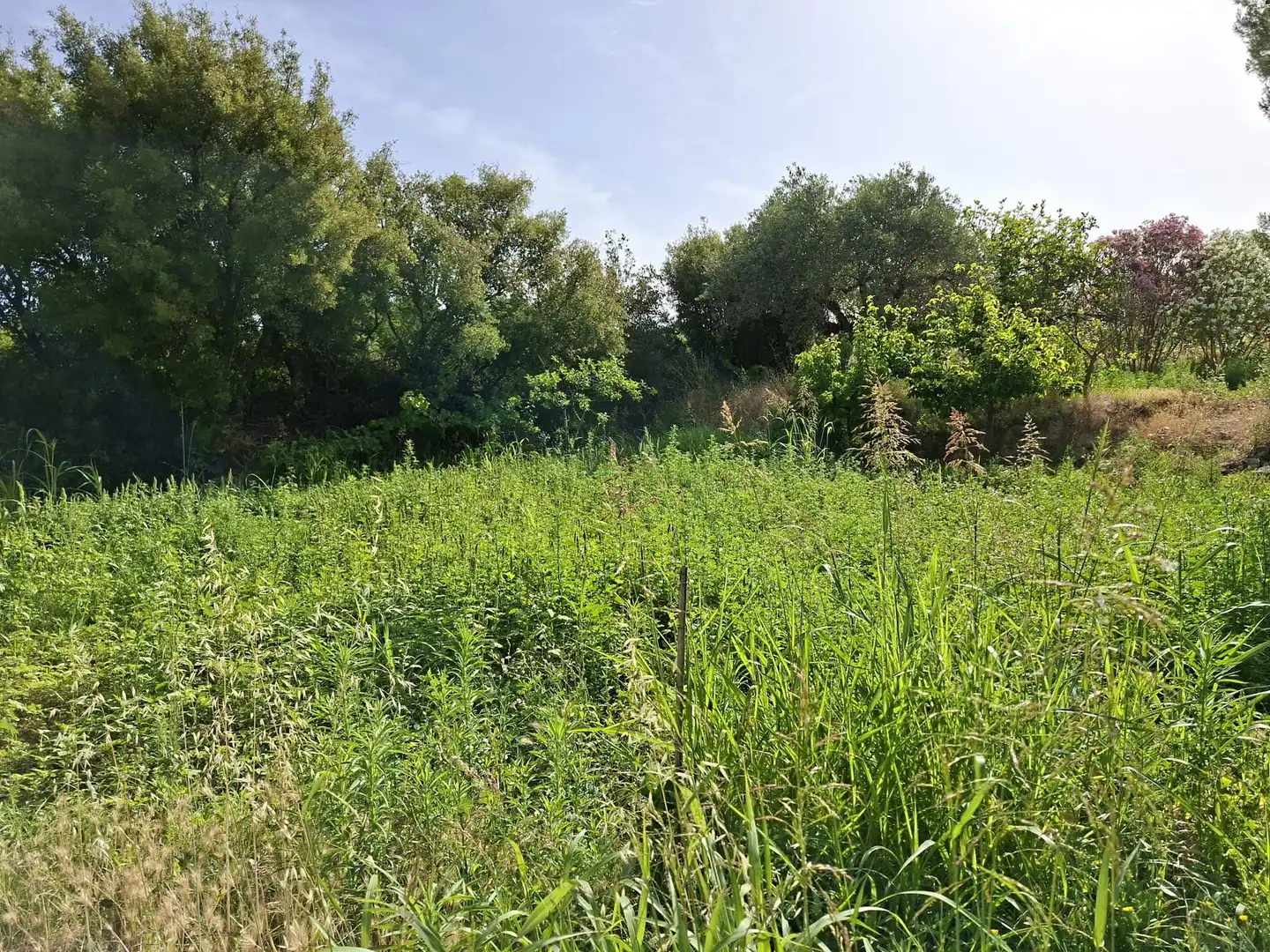 Country homes for sale in Caspe  with Private garden, Swimming Pool and Furnished