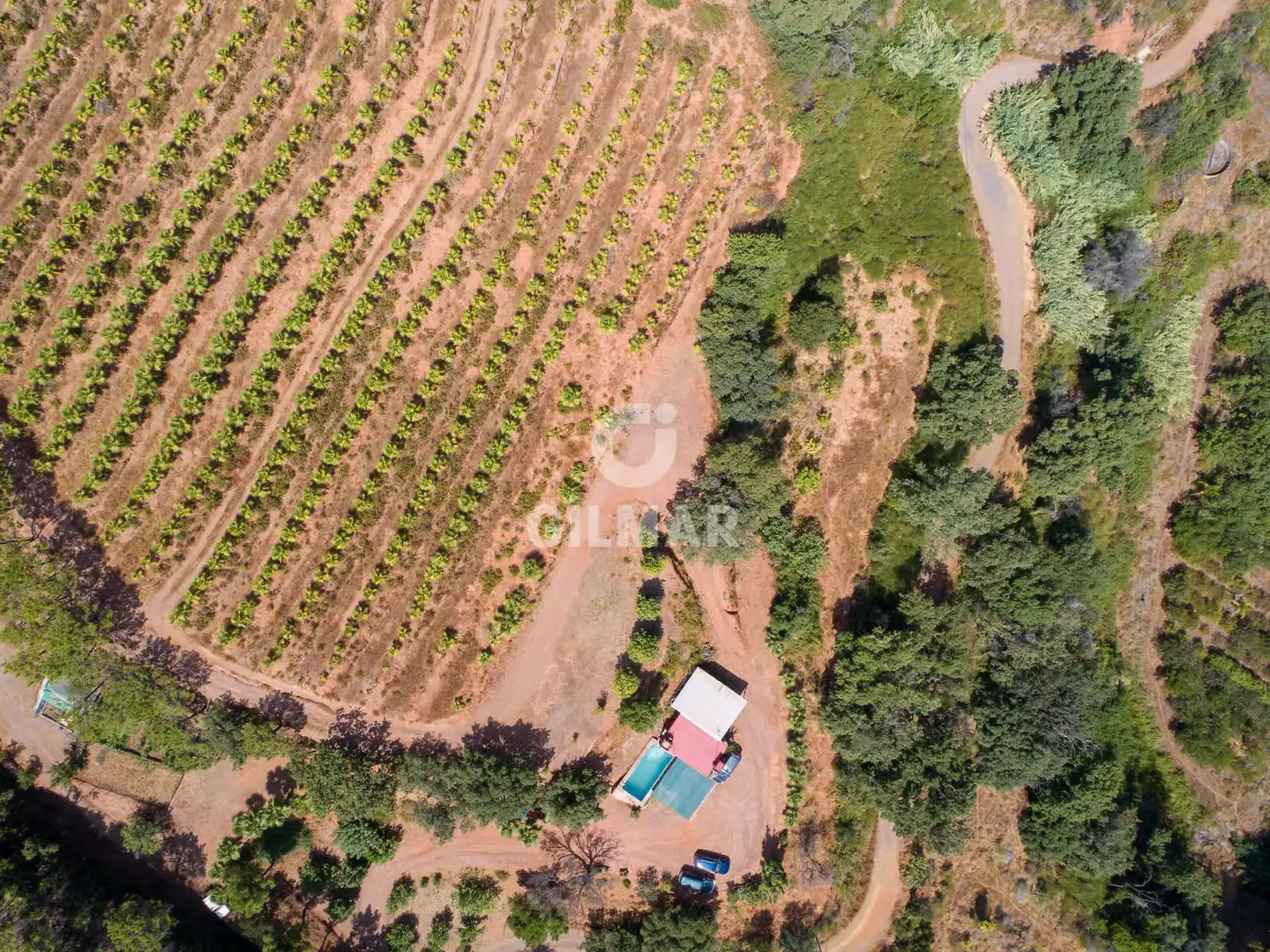 Terreno rustico in vendita a Altos de Estepona, imagen 19
