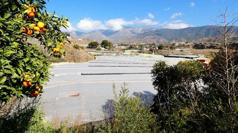 Photo 5 of Country house for sale in Los Tablones - La Garnatilla, Motril