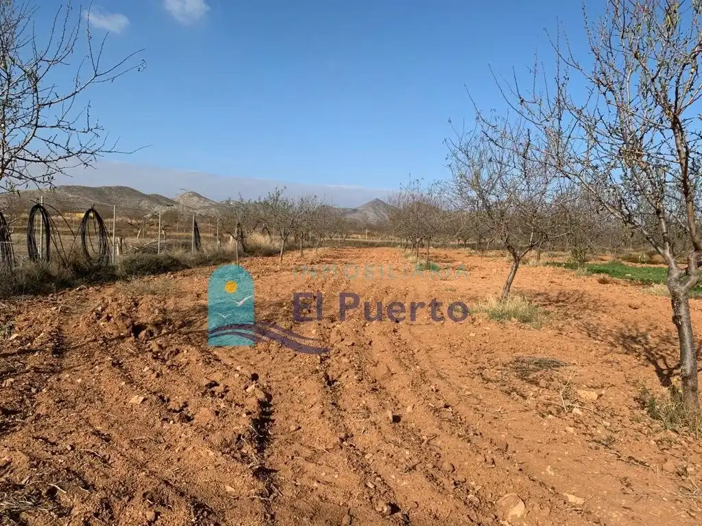 Terreno rústico en venta en Pedanías Oeste, imagen 3