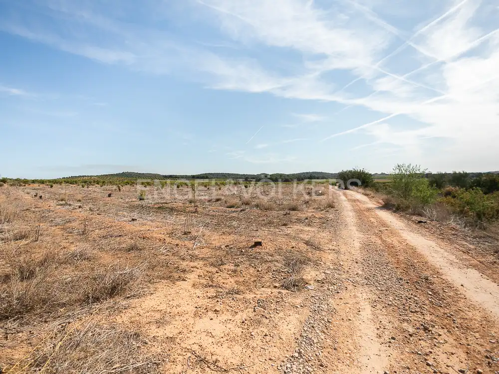 Terrenos y solares en venta en Pedralba, imagen 20