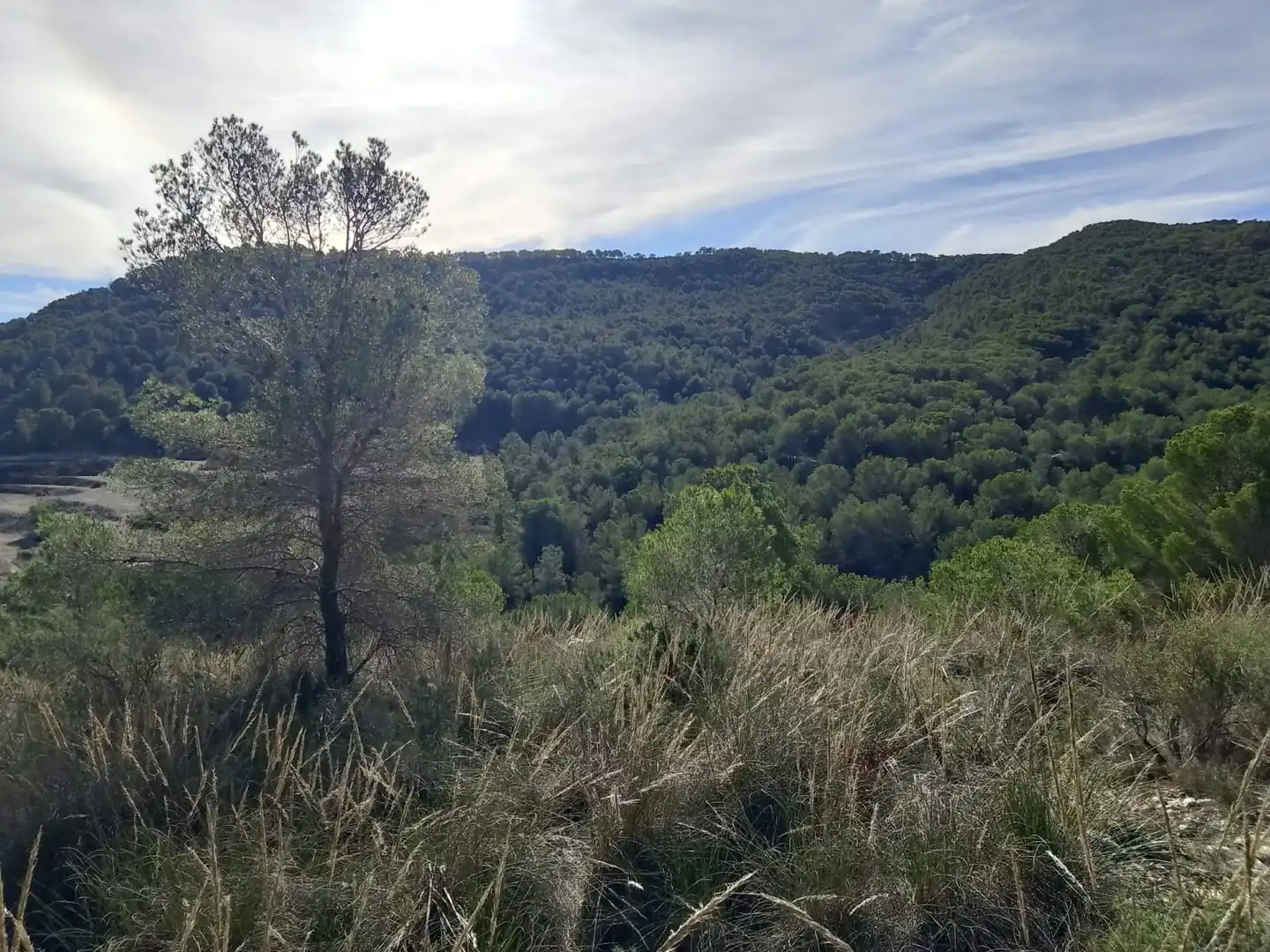 Terreno rustico in vendita a Carrer la Creu, imagen 43