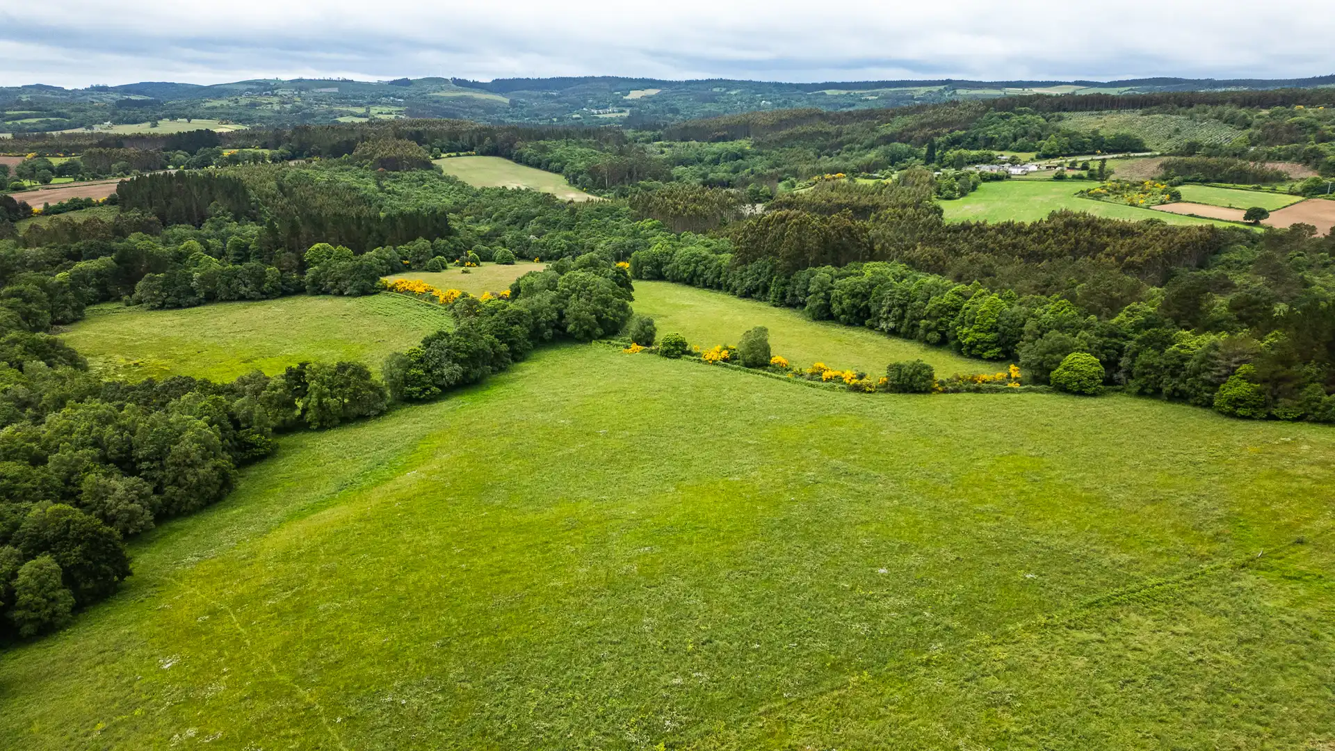 Finca rústica en venta en Friol