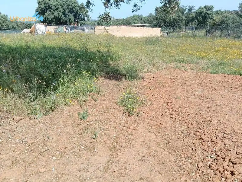 Terreni e lotti in vendita a Dehesilla de Calamón - Campomanes, imagen 8