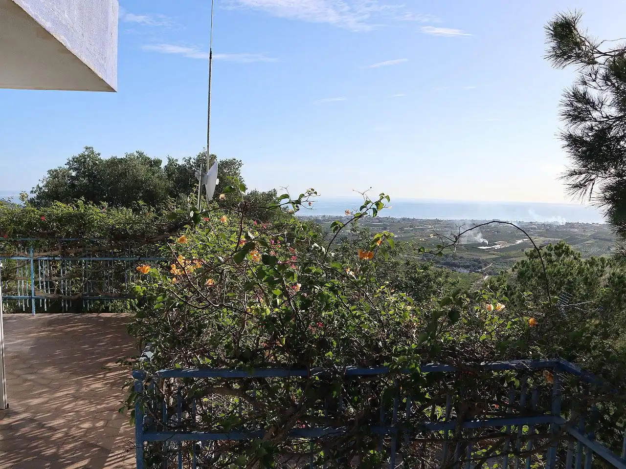 Jardí de Casa o xalet en venda en Alcanar amb Jardí privat, Terrassa i Piscina