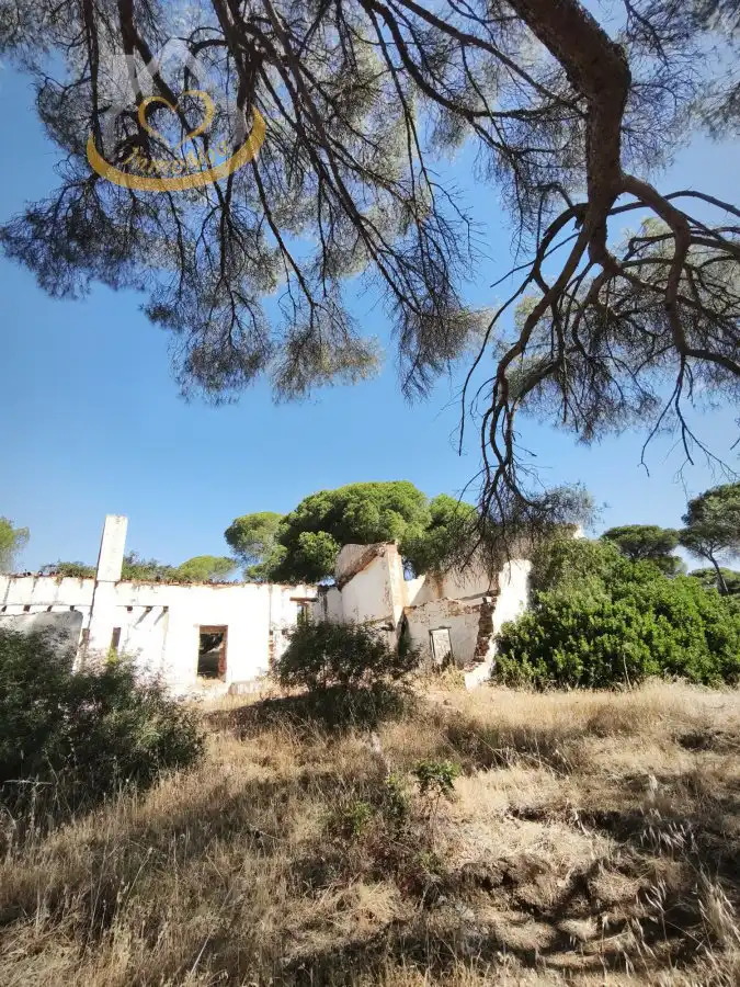 Terreni e lotti in vendita a Moguer, imagen 13