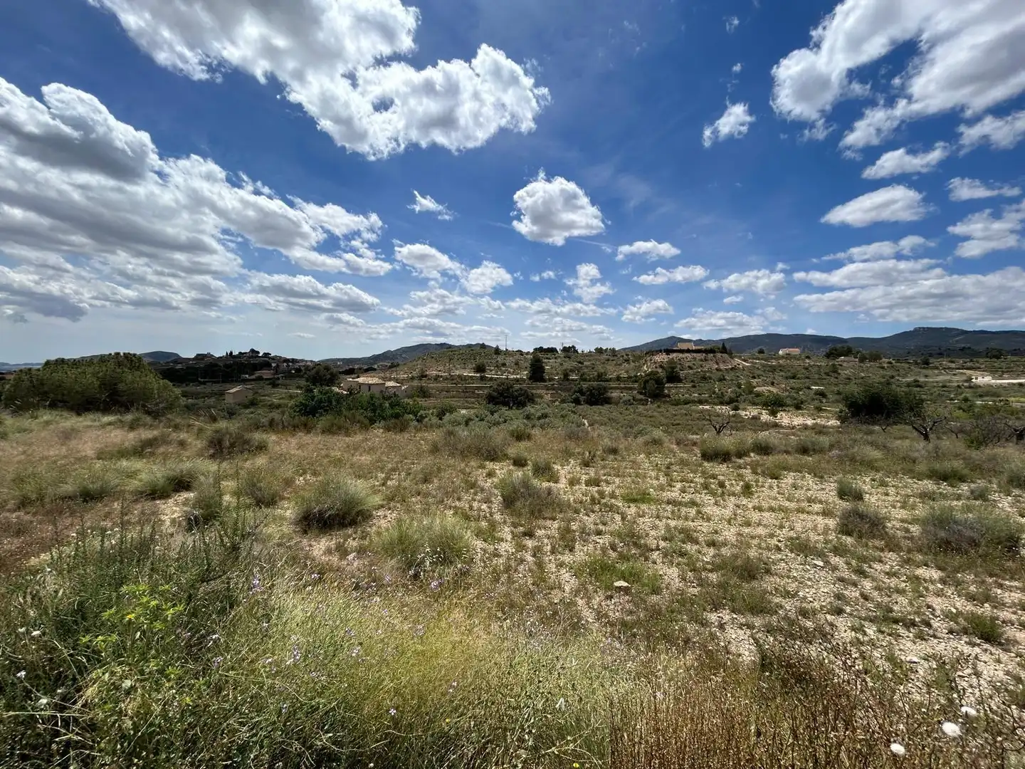 Casa rústica amb jardí en venda a Monóvar  / Monòver, imagen 7