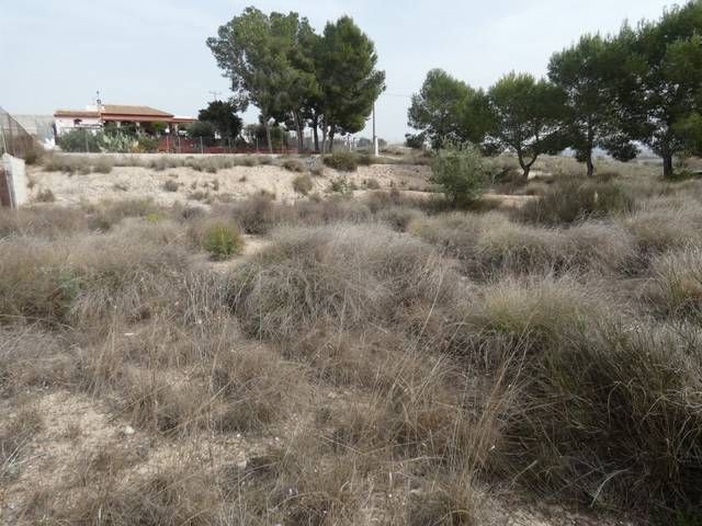 Terreno residencial en Venta en El Pino