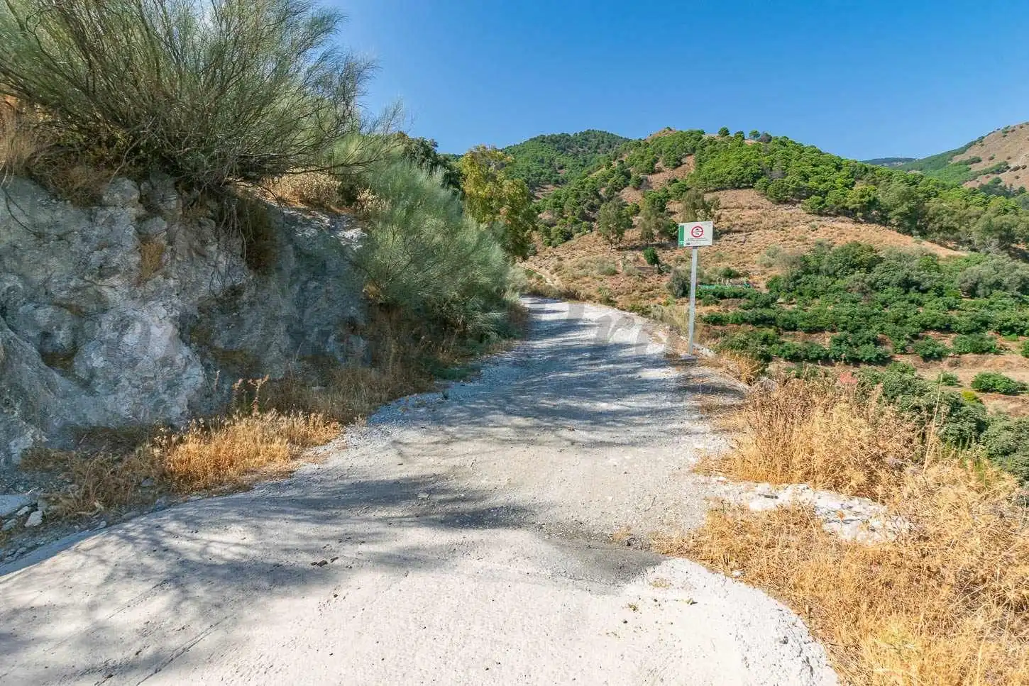 Terreno rustico in vendita a Salares, imagen 7