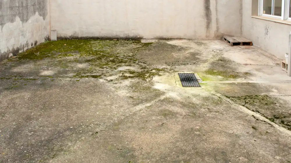 Mixed residential for sale in Centro, imagen 7