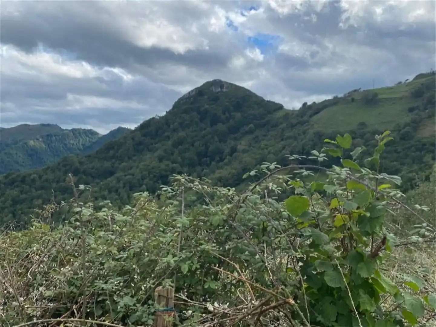 Finca rústica en venta en Belmonte de Miranda, Asturias