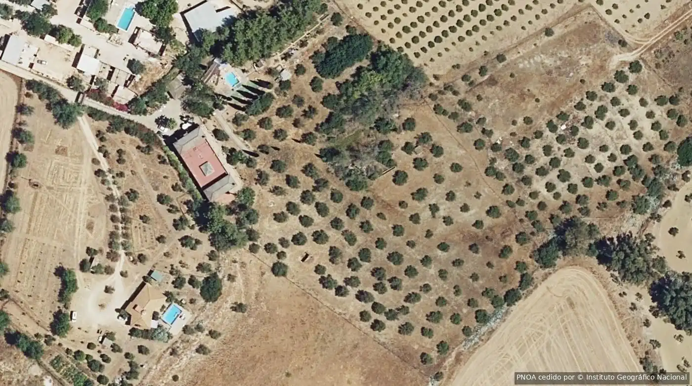 Rural land for sale in Mairena del Alcor, imagen 7