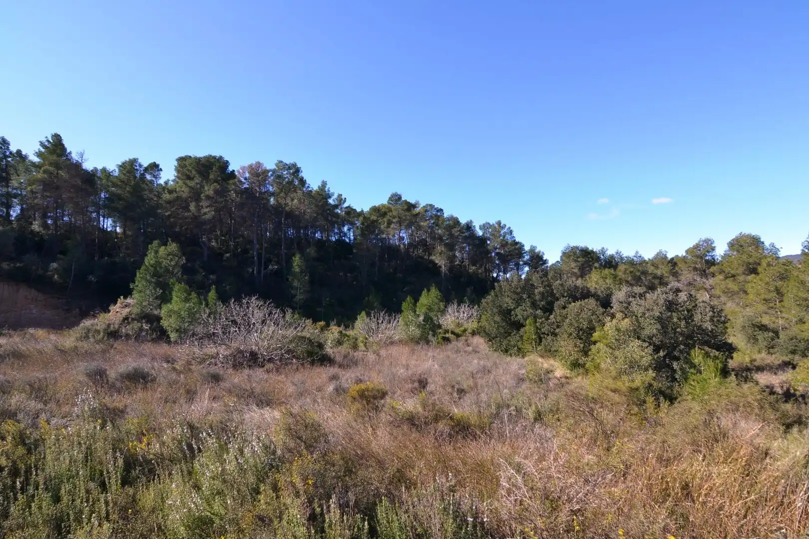 Rural land for sale in Ascó, imagen 31