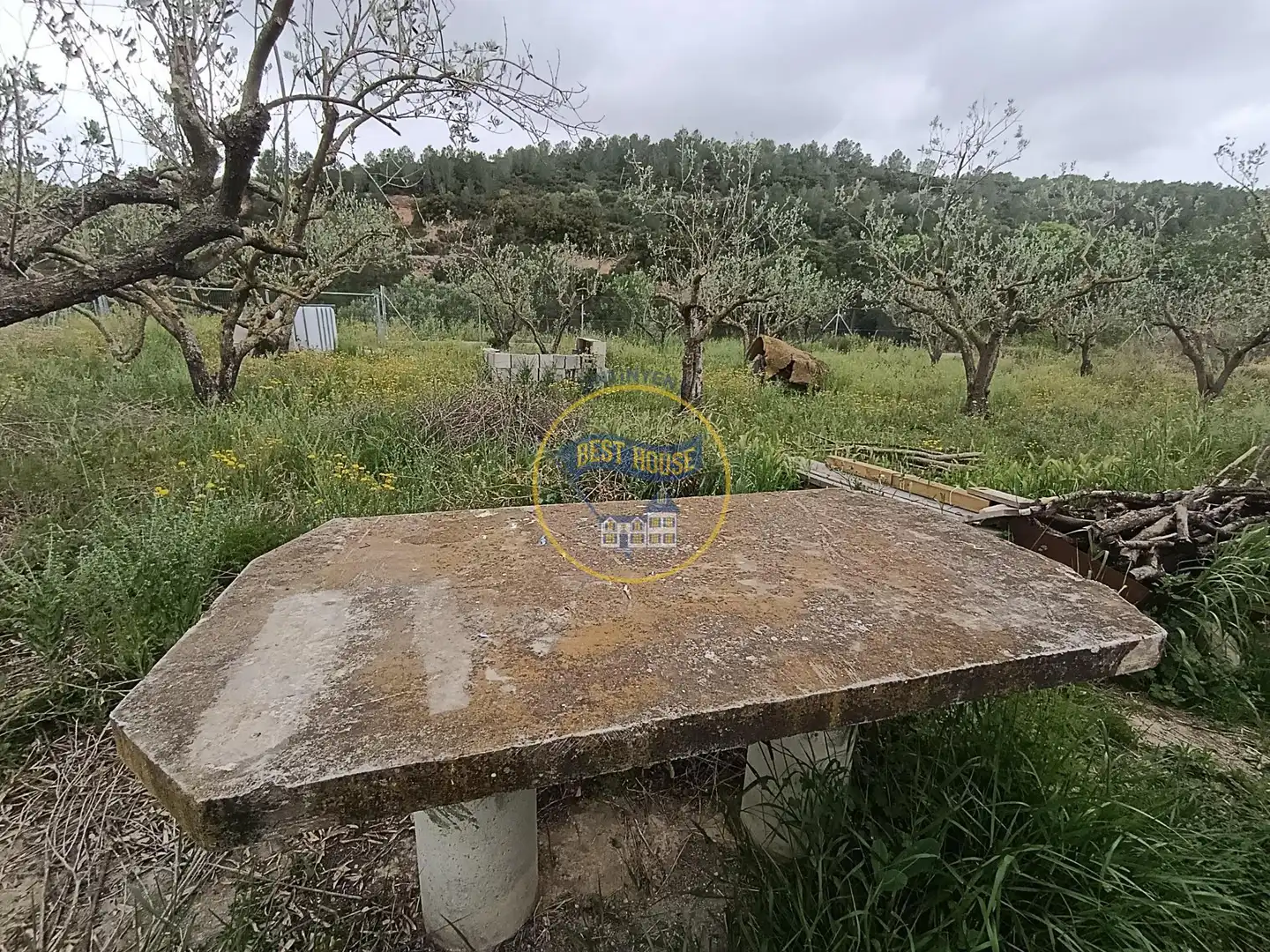 Casa o chalet en venta en Aielo de Malferit