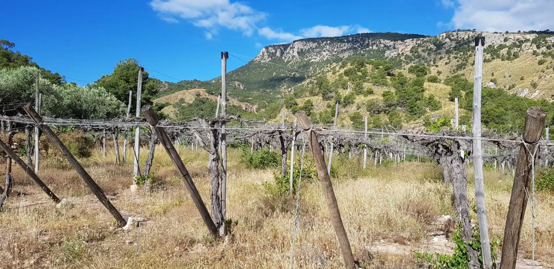 Casa o chalet en venta en Aledo con Terraza y Trastero