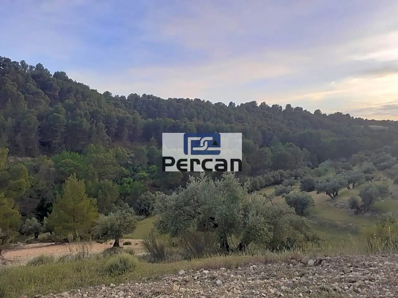 Residencial en venta en Cortes de Baza