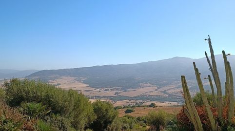 Casa de campo en Tarifa, Betis, imatge 2