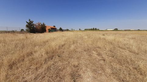finca en villaralbo, imatge 3