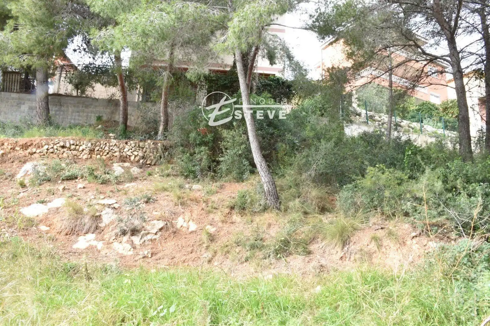 Rural land for sale in GLADIOL, imagen 8